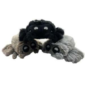 Baby Jumping Spider Plush